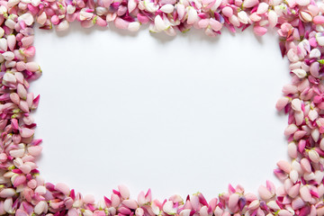 rectangular frame of lupine flowers