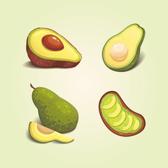 Set realistic fresh avocado fruit. Slice and whole avocados. Vegan food vector illustration in cartoon style.