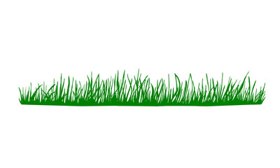 Green grass field background - 211762548