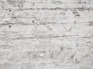 white wooden background