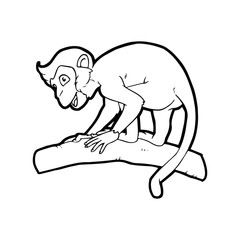 Monkey cartoon illustration isolated on white background for children color book