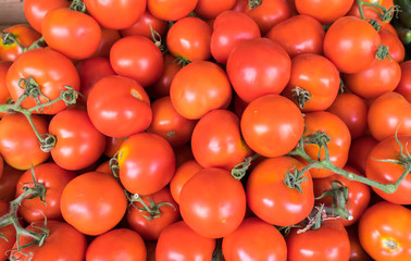 Organics tomatoes sold at farmers market