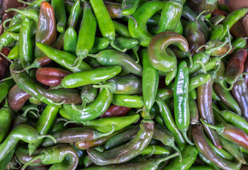 Hot green red chilli peppers sold at city farmers market