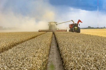 Combine working on the yellow field