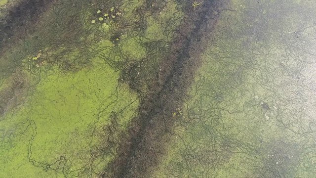 Ramsar Site Aerial Drone Footage