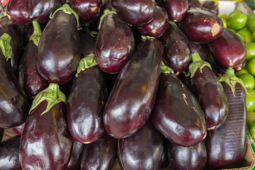The new harvest black eggplants sold at local city market