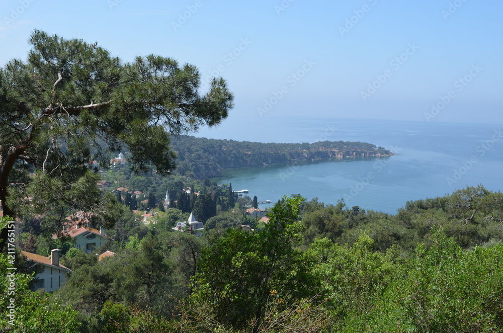 Poster landscape pine tree sky nature sea island rock mountain