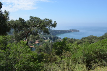 landscape pine tree sky nature sea island rock mountain