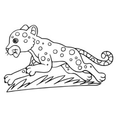 Leopard cartoon illustration isolated on white background for children color book