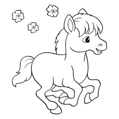Horse cartoon illustration isolated on white background for children color book