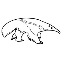 Anteater cartoon illustration isolated on white background for children color book