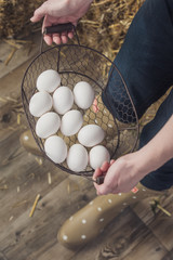 White chicken eggs in wire mesh basket