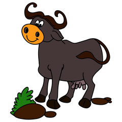 Buffalo cartoon illustration isolated on white background for children color book