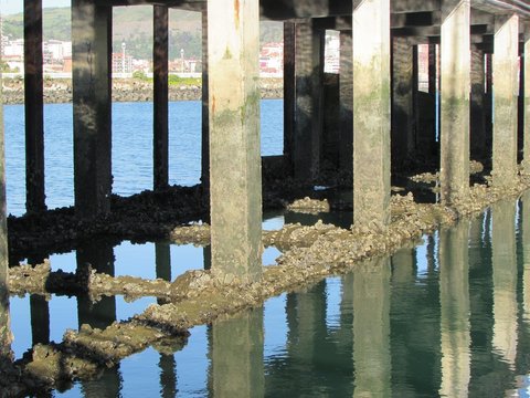 Zutabe