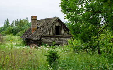 Obraz premium Am Peipussee