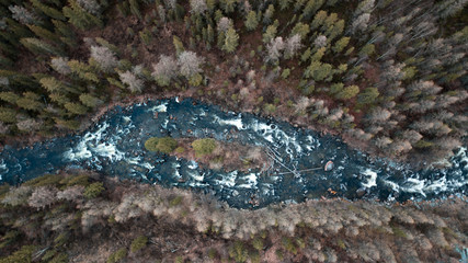 top view of the bottom of the blue river runs through the taiga of Siberia