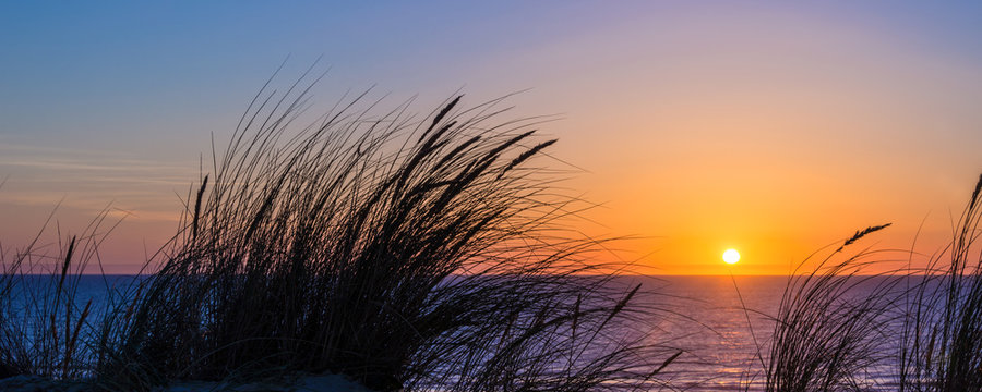 Sunset On Atlantic Ocean, Beach Grass Silhouette In Lacanau France