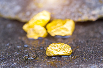 Gold on the stone floor Discovering Success and Investing Concepts with Business Partners.
