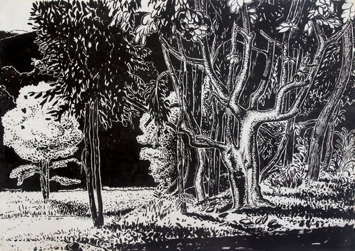 Drawing meadow landscape in the park with black and white.