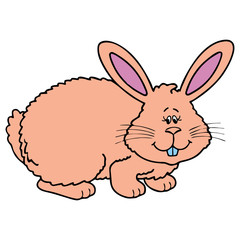 Rabbit cartoon illustration isolated on white background for children color book