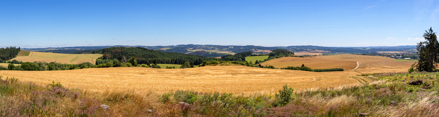 Fototapeta na wymiar Panoramic view of summer countryside with golden fields