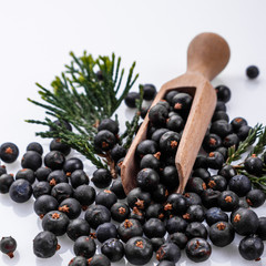 dried juniper berries on a white background