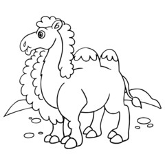 Camel cartoon illustration isolated on white background for children color book
