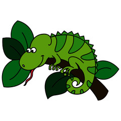 Gecko cartoon illustration isolated on white background for children color book