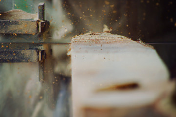 carpenter cutting wood with electric saw, for furniture.