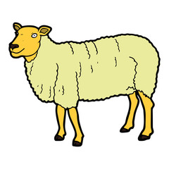 Sheep cartoon illustration isolated on white background for children color book