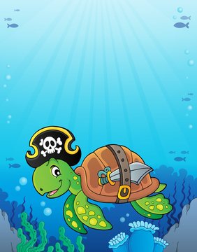 Pirate turtle theme image 3