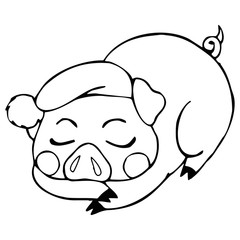 Pig cartoon illustration isolated on white background for children color book