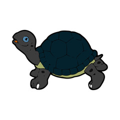 Turtle cartoon illustration isolated on white background for children color book