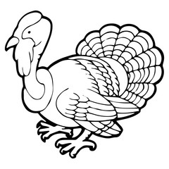 Turkey cartoon illustration isolated on white background for children color book