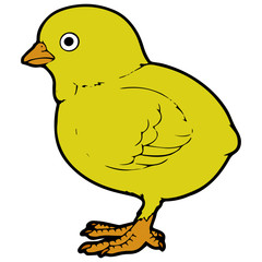 Chicken cartoon illustration isolated on white background for children color book