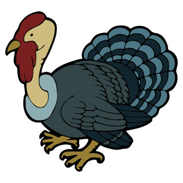 Turkey cartoon illustration isolated on white background for children color book