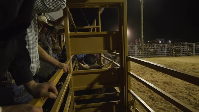 A medium shot of a bull rider getting ready to ride his bull