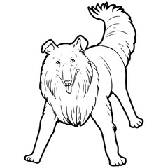 Dog cartoon illustration isolated on white background for children color book