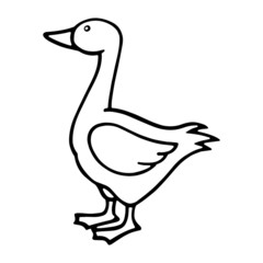 Obraz premium Duck cartoon illustration isolated on white background for children color book