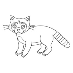 Raccoon cartoon illustration isolated on white background for children color book