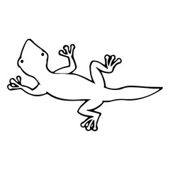 Lizard cartoon illustration isolated on white background for children color book