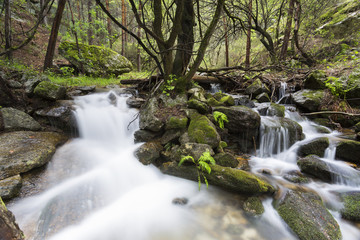 Obraz premium Arroyo fluye entre rocas y árboles en la ladera de una montaña