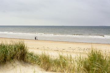 Fototapeta na wymiar Two people walking along de coastline of the North Sea in the Netherlands