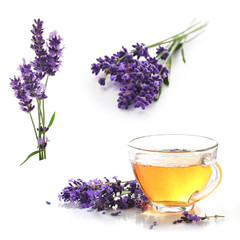lavender herb tea