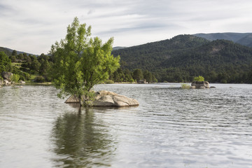 Fototapeta na wymiar Vista de un lago con rocas en primer término en donde ha crecido un árbol rodeado de agua