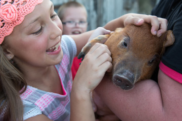Rural funny children are looking at small red piglet on mother's arms. Concept of healthy lifestyle in nature, love of peace, respect for nature. Girl and boys are happy together. Close up view