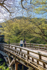 山中温泉こおろぎ橋