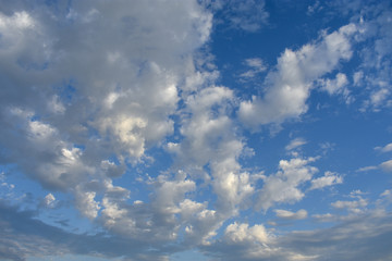 Blue Sky with White Fluffy Clouds Sky Overlay