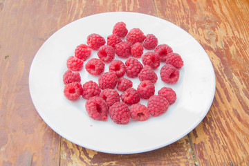 Freshly Picked Raspberries on the plate