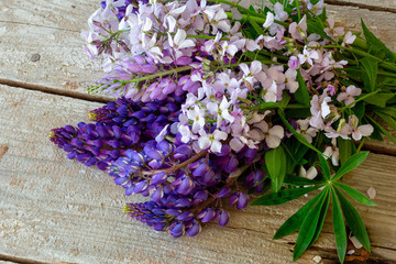 Lupin flowers on a rustic wooden backdrop.